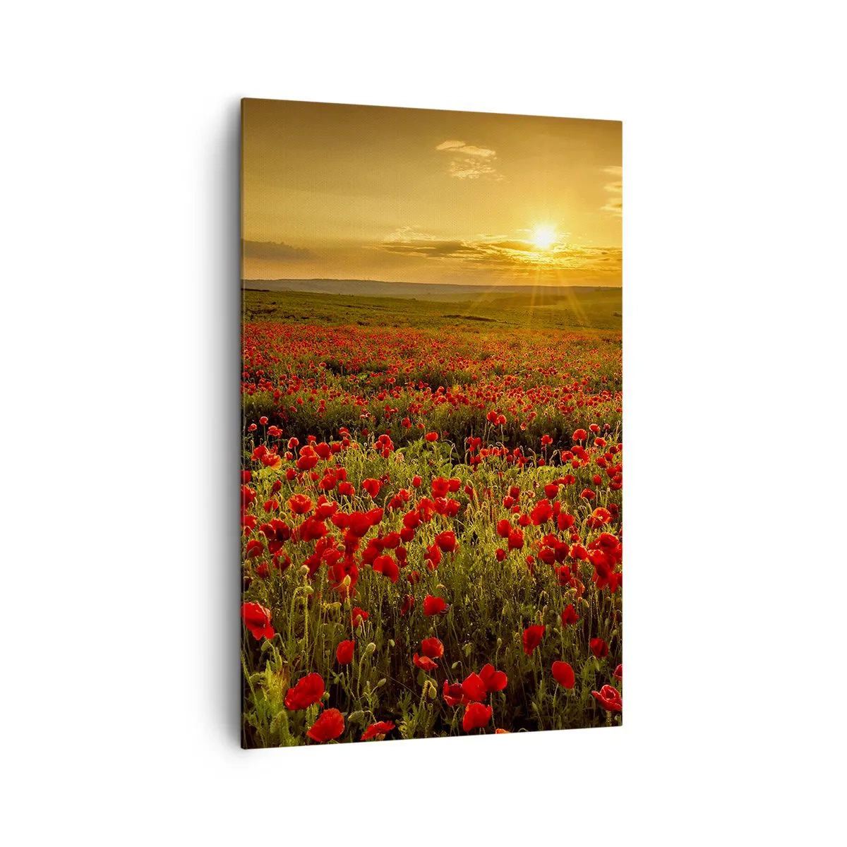 Canvastavla - Bild på duk - Bland brusande ängars vågor, bland blommornas flod - 80x120 cm