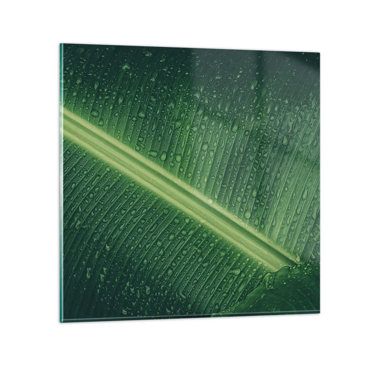 Glastavla - Bild på glas - Grönskans struktur - 30x30 cm