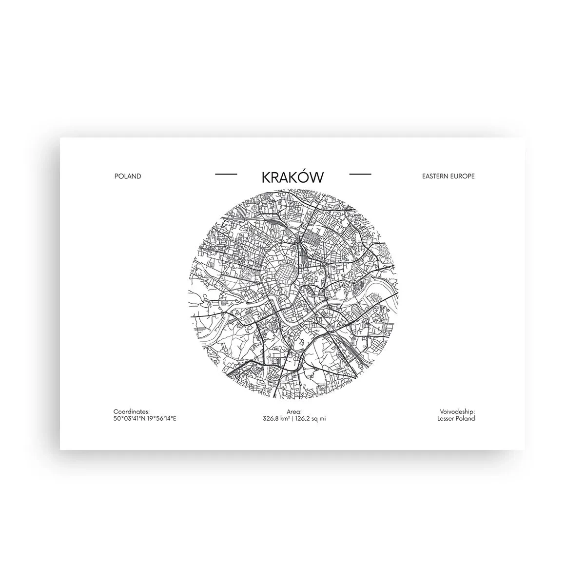 Affisch - Krakóws anatomi - 91x61 cm