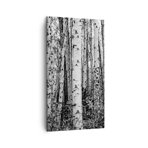 Canvastavla - Bild på duk - Björkpelargång - 45x80 cm