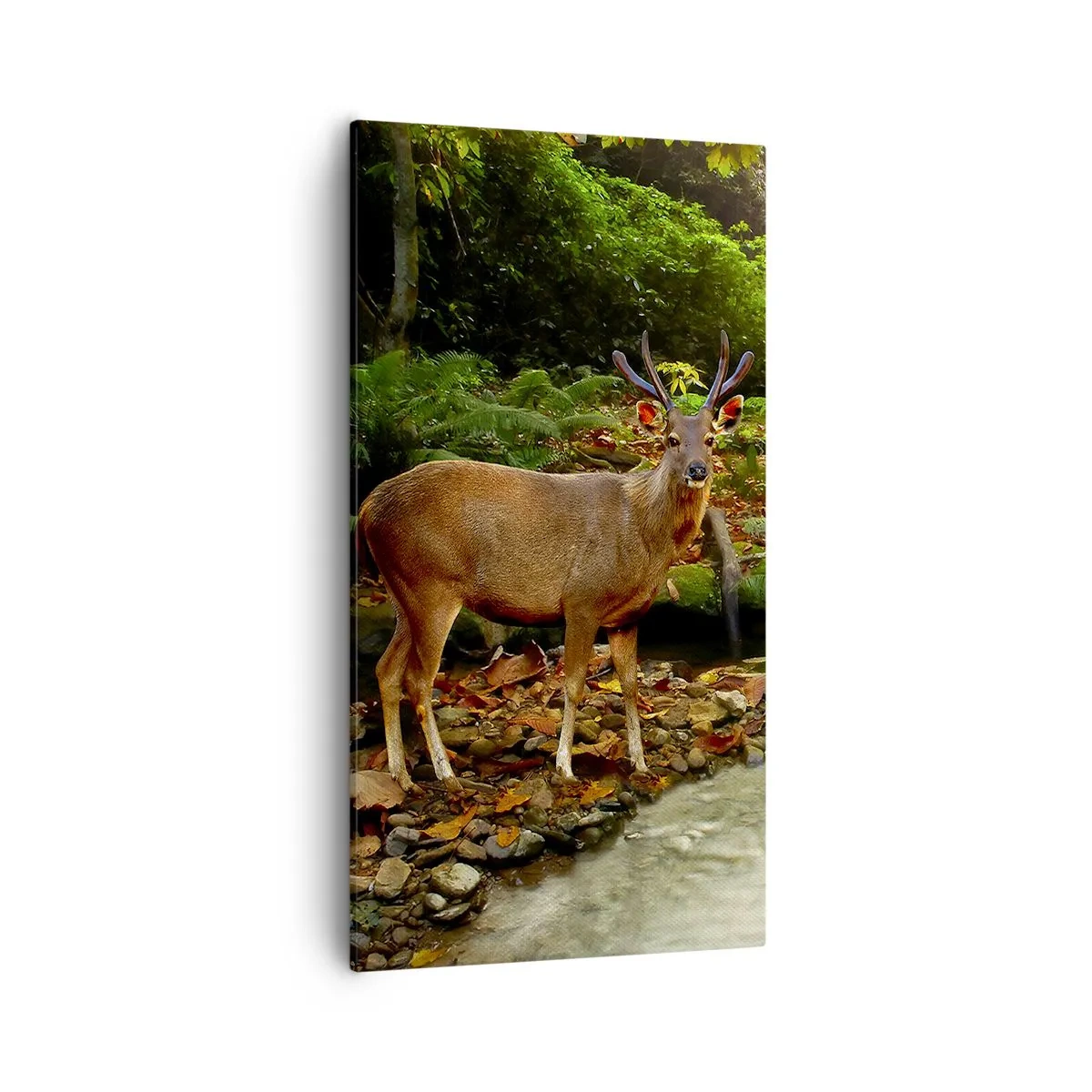 Canvastavla - Bild på duk - Välkommen till min värld - 55x100 cm