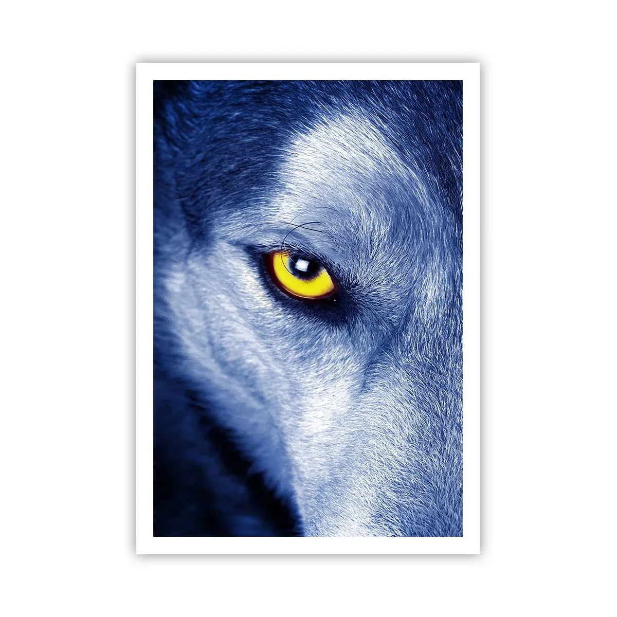 Affisch - Hypnotiserade titt - 70x100 cm