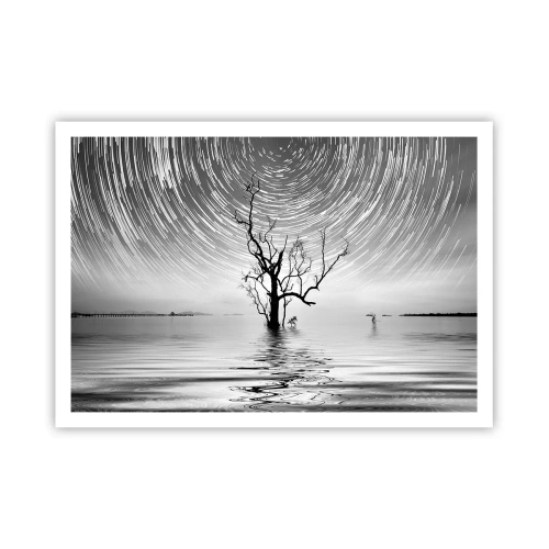 Affisch - Naturens symfoni - 100x70 cm