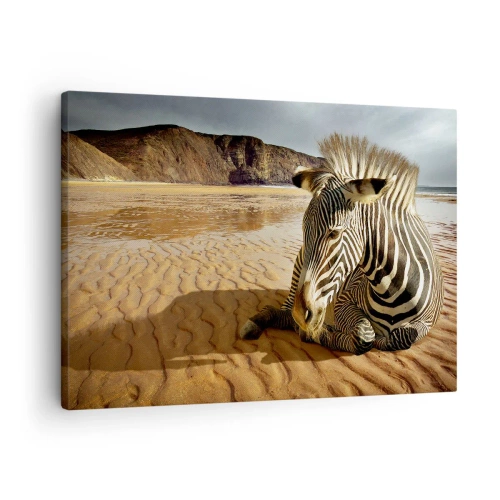 Canvastavla - Bild på duk - En zebra som vilar på en sandstrand med klippor i bakgrunden. - 70x50cm - Vi passar till varandra - Modern väggdekoration för vardagsrum och sovrum ARTTOR