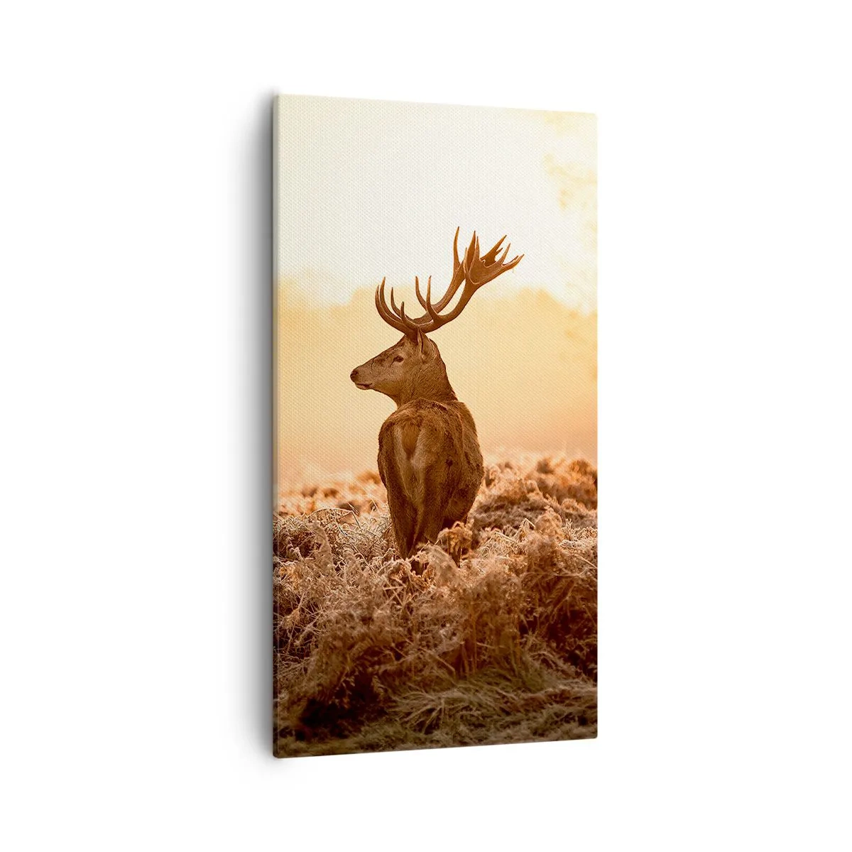 Canvastavla - Bild på duk - Herre på godset - 55x100 cm