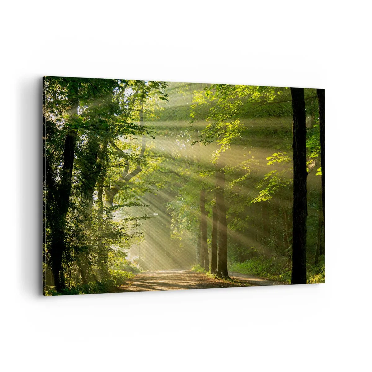 Canvastavla - Bild på duk - En stund i skogen - 100x70 cm