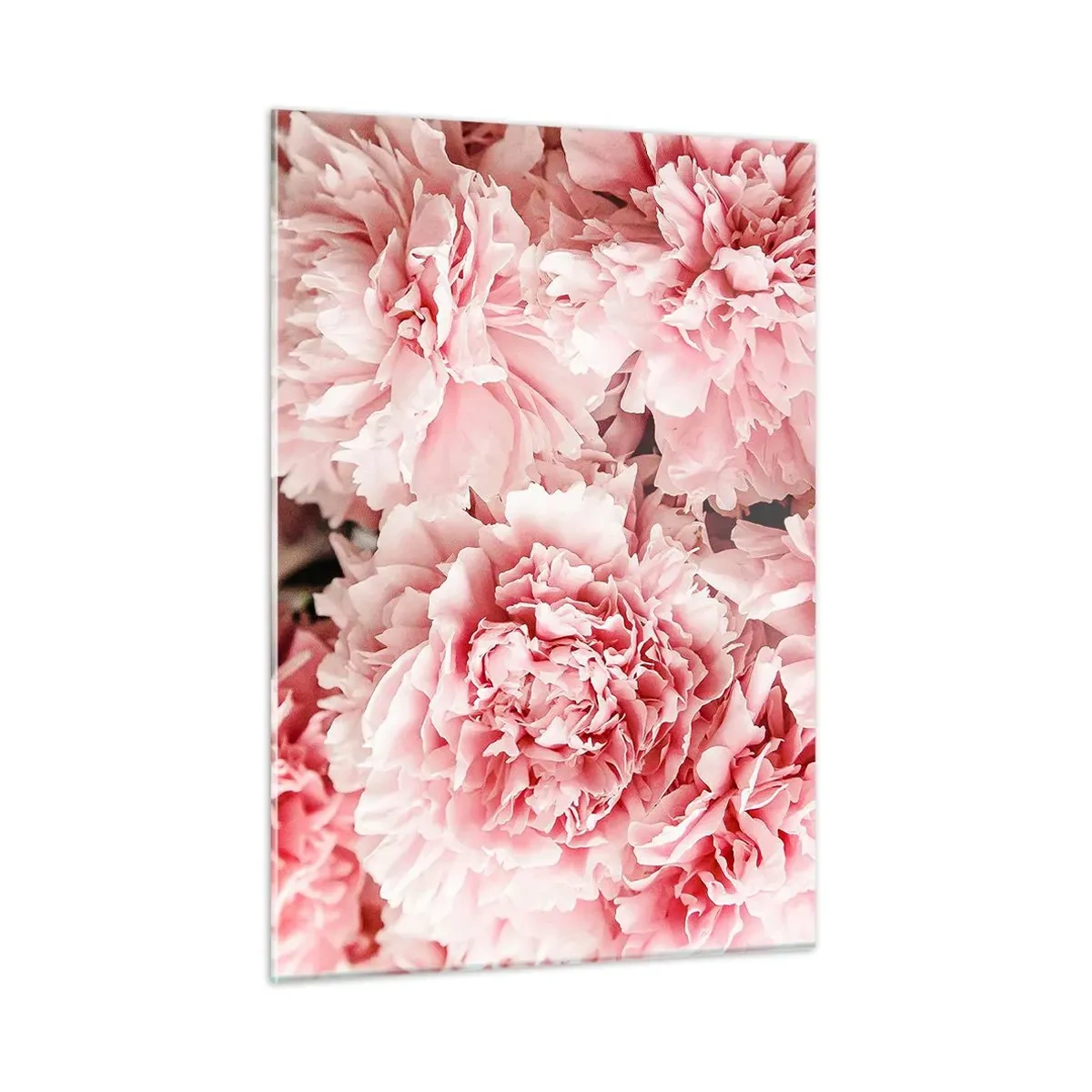 Glastavla - Bild på glas - Rosa dröm - 50x70 cm