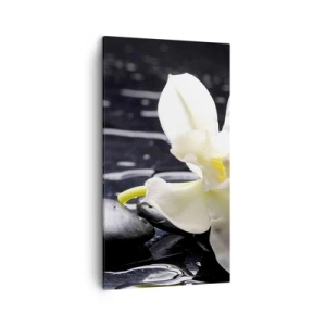 Canvastavla - Bild på duk - Ett studie i svart och vit - 45x80 cm