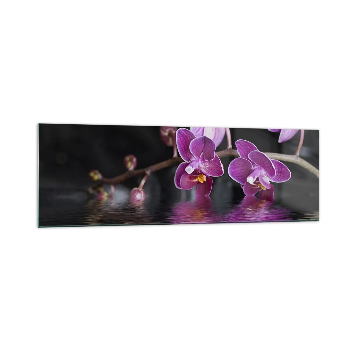 Glastavla - Bild på glas - Lila skönhet - 160x50 cm