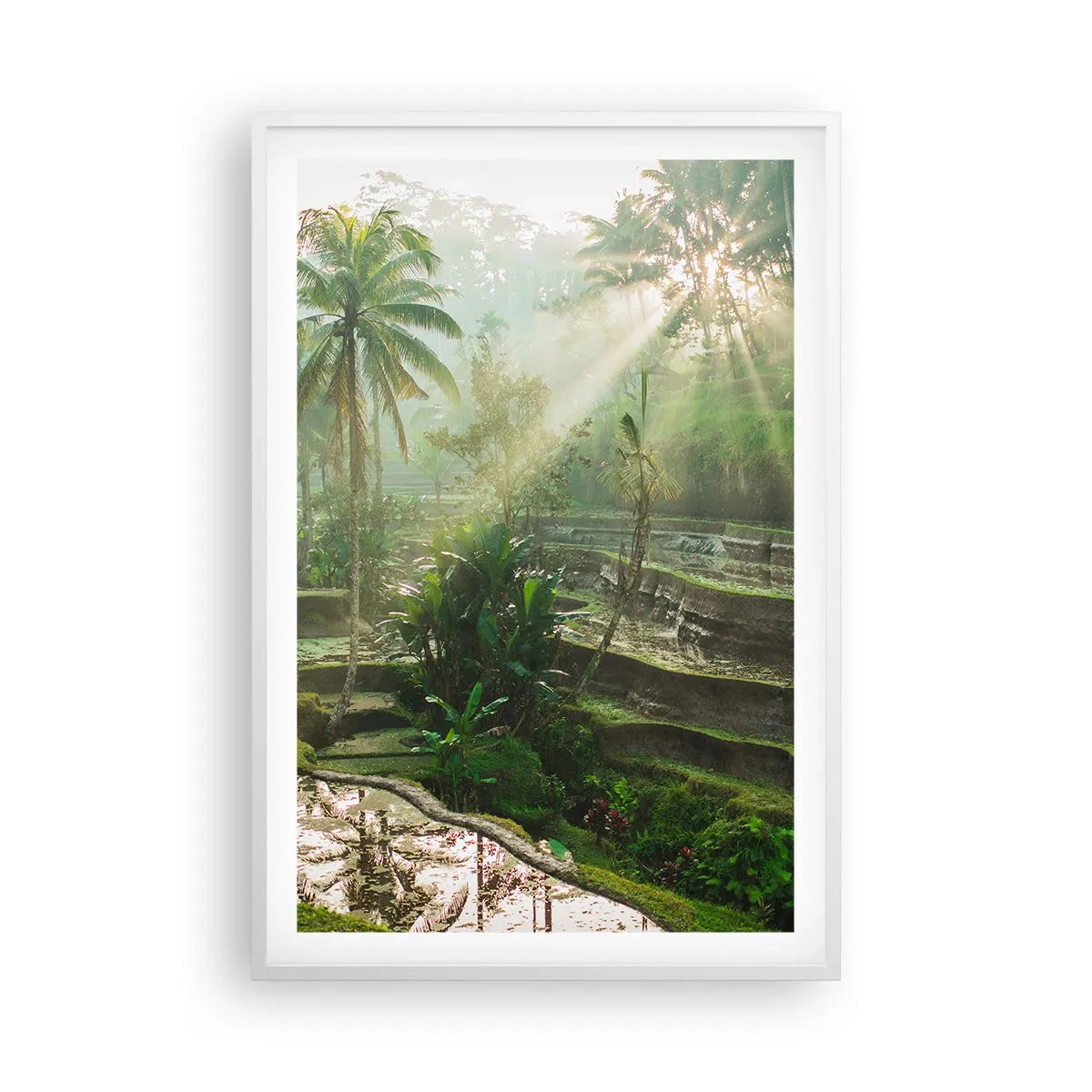 Affisch i vit ram - Växa upp i solsken - 61x91 cm