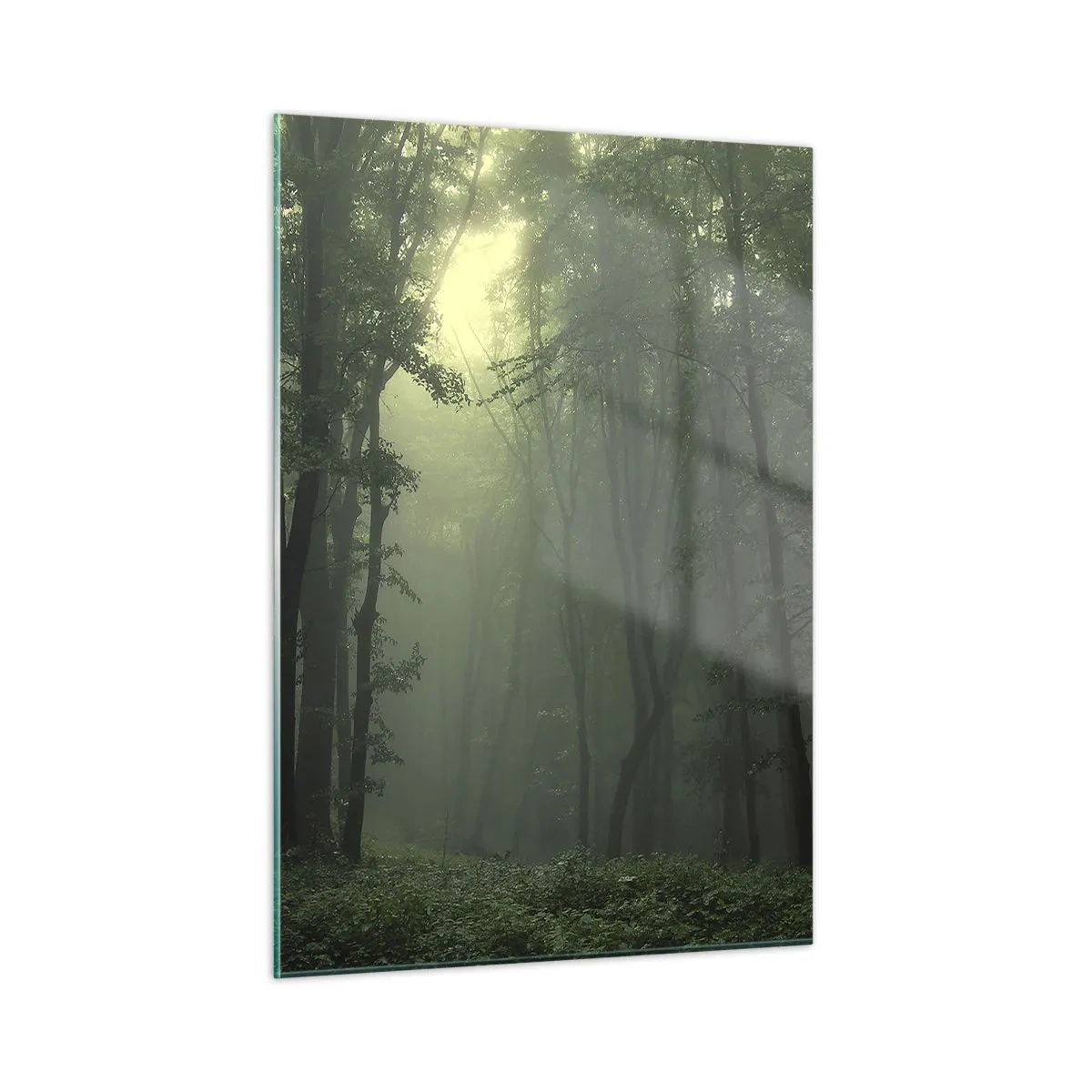 Glastavla - Bild på glas - Innan skogen vaknar - 50x70 cm