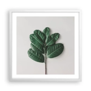 Affisch i vit ram - Själva naturens bild - 50x50 cm