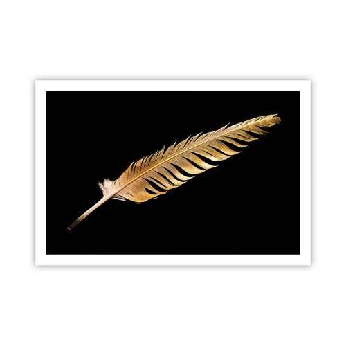 Affisch - Fjäder... - 91x61 cm