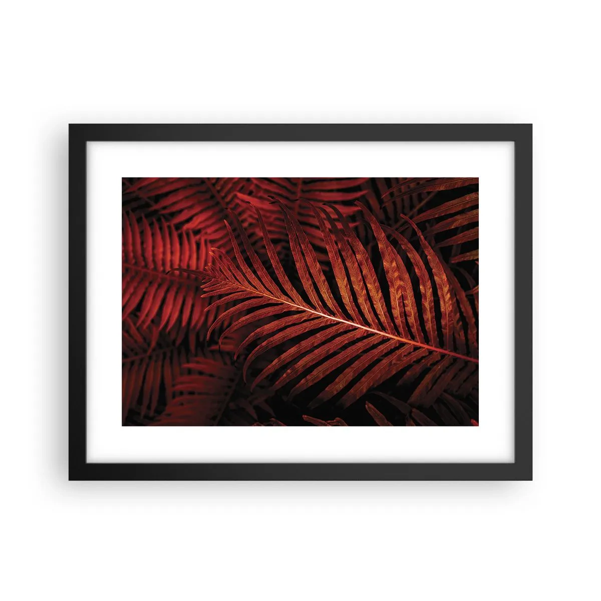 Affisch i svart ram - Livets glöd - 40x30 cm