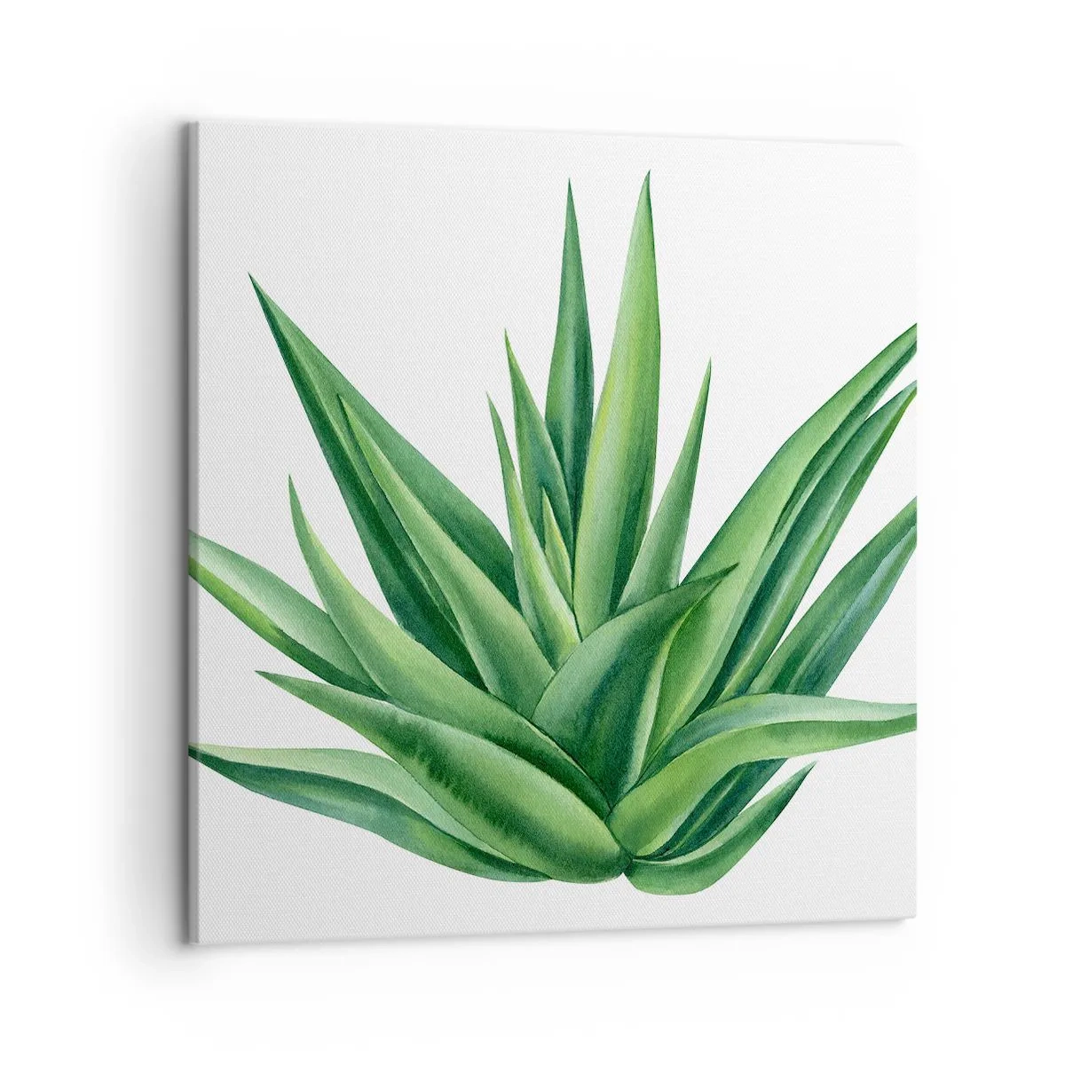 Canvastavla - Bild på duk - Grönt - styrka - liv - 50x50 cm