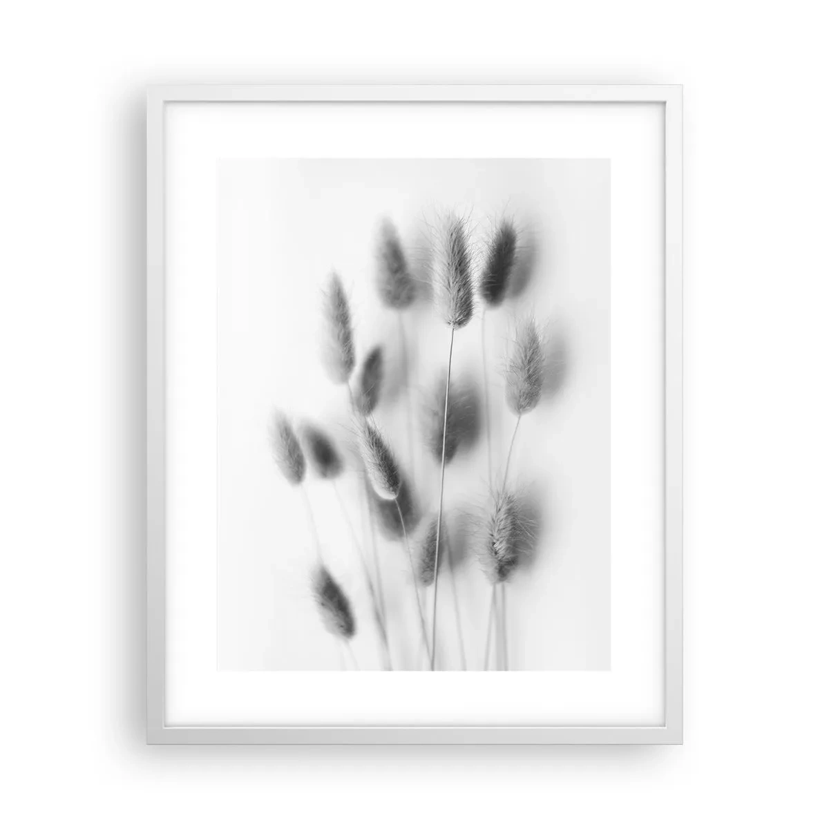 Affisch i vit ram - Fluffigt gräs - 40x50 cm