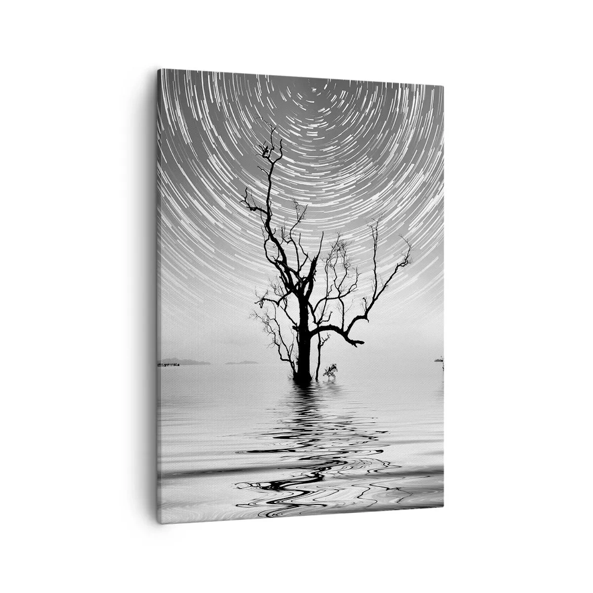 Canvastavla - Bild på duk - Naturens symfoni - 50x70 cm