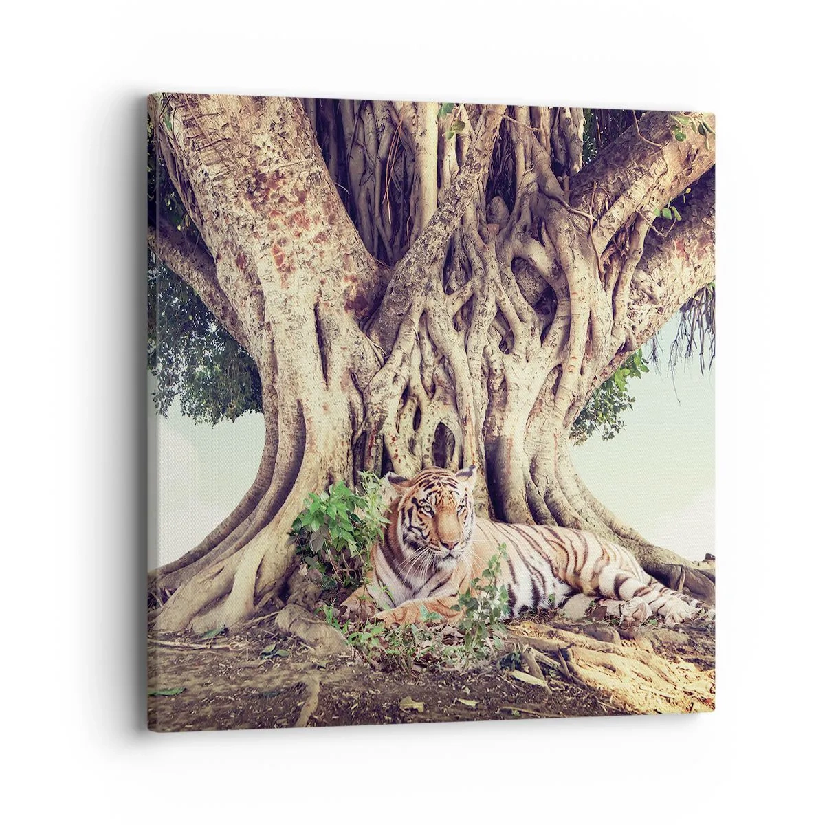 Canvastavla - Bild på duk - Vi från Första Moseboken - 40x40 cm