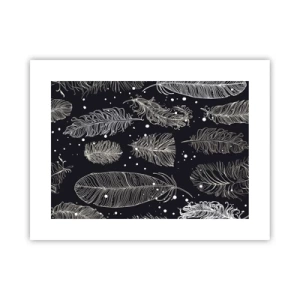 Affisch - Fjäderspets - 40x30 cm