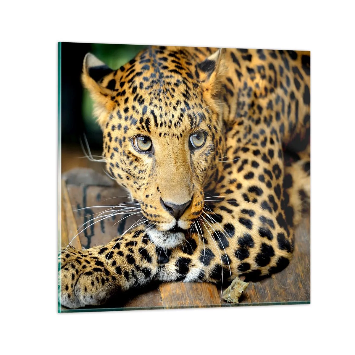 Glastavla - Bild på glas - Var inte rädd, kom fram - 40x40 cm