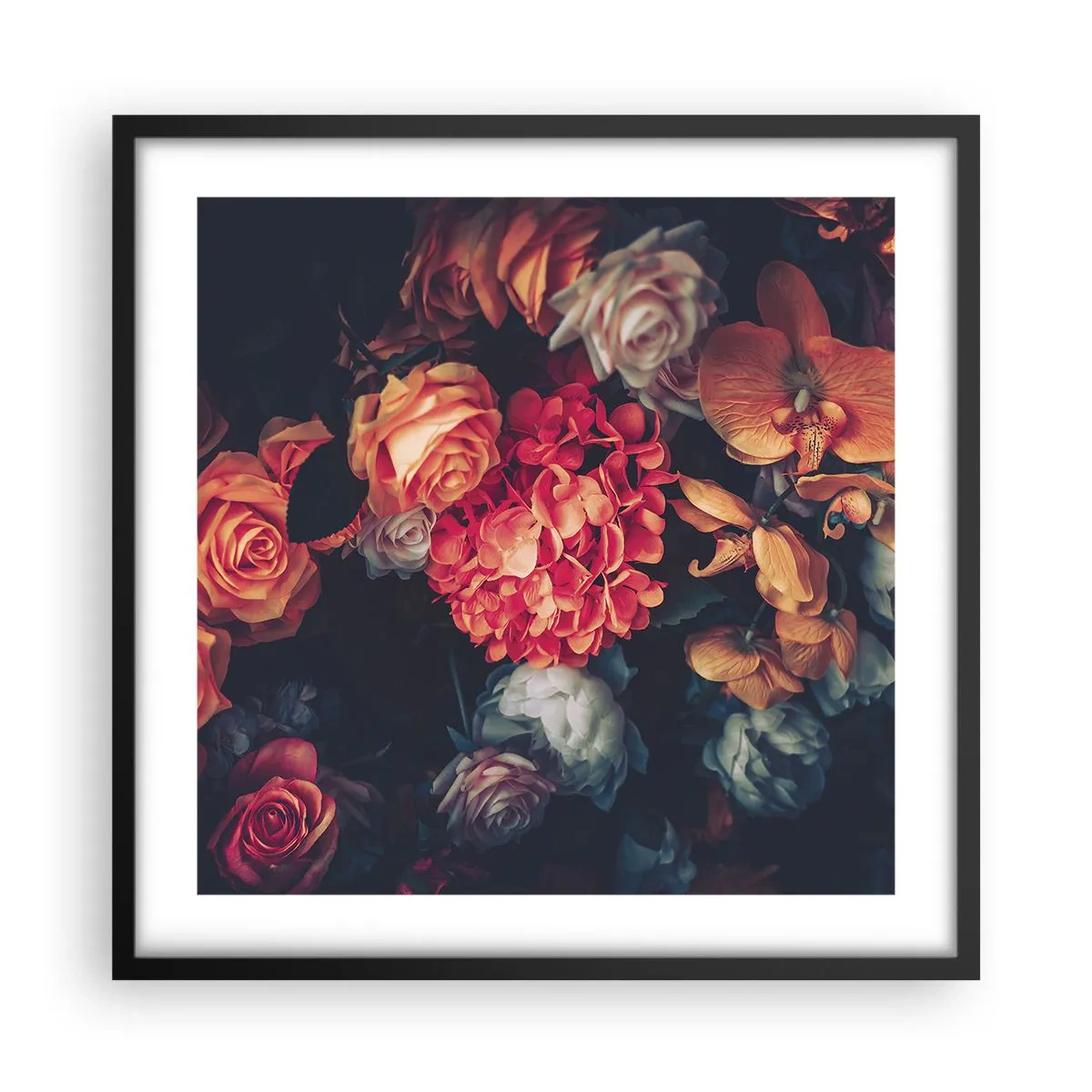 Affisch i svart ram - Som hos de holländska mästarna - 50x50 cm