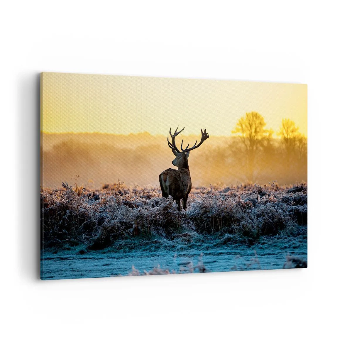 Canvastavla - Bild på duk - Krönt på sin mark - 120x80 cm