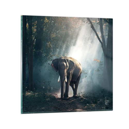 Glastavla - Bild på glas - Lugn promenad - 40x40 cm