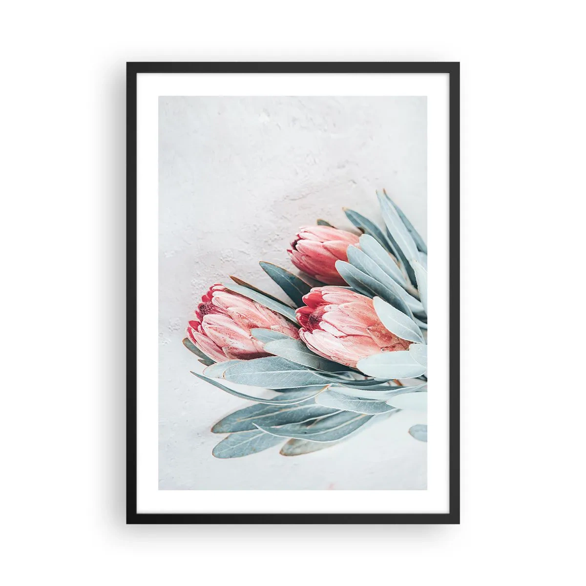 Affisch i svart ram - En subtil komposition av proteablommor mot en ljus bakgrund - 50x70cm - Generad av sin skönhet - Modern väggdekoration för vardagsrum och sovrum ARTTOR