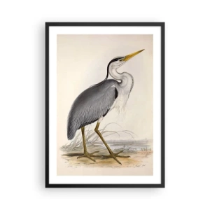 Affisch i svart ram - Herons nåd - 50x70cm - Hägers charm - Modern väggdekoration för vardagsrum och sovrum ARTTOR
