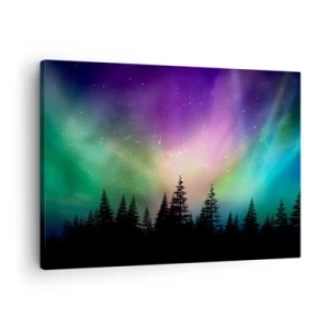 Canvastavla - Bild på duk - Aurora Borealis över en skog med stjärnhimmel - 70x50cm - Vita magin - Modern väggdekoration för vardagsrum och sovrum ARTTOR