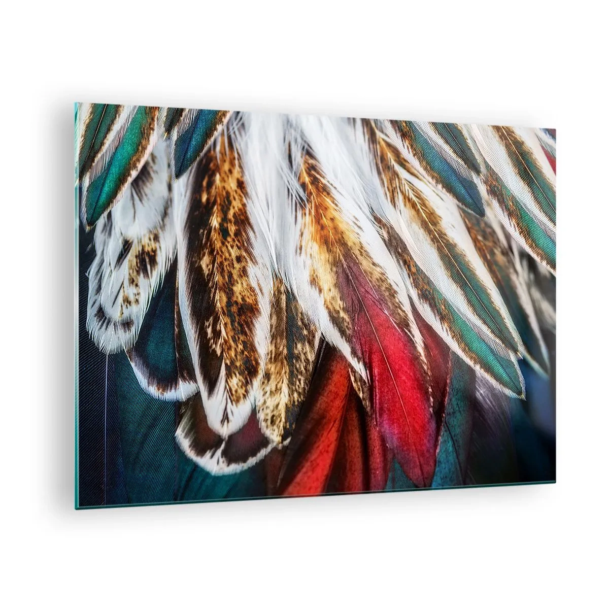 Glastavla - Bild på glas - Färgglada fjädrar i en rik färgpalett med en distinkt textur - 70x50cm - flyghemligheter - Modern väggdekoration för vardagsrum och sovrum ARTTOR