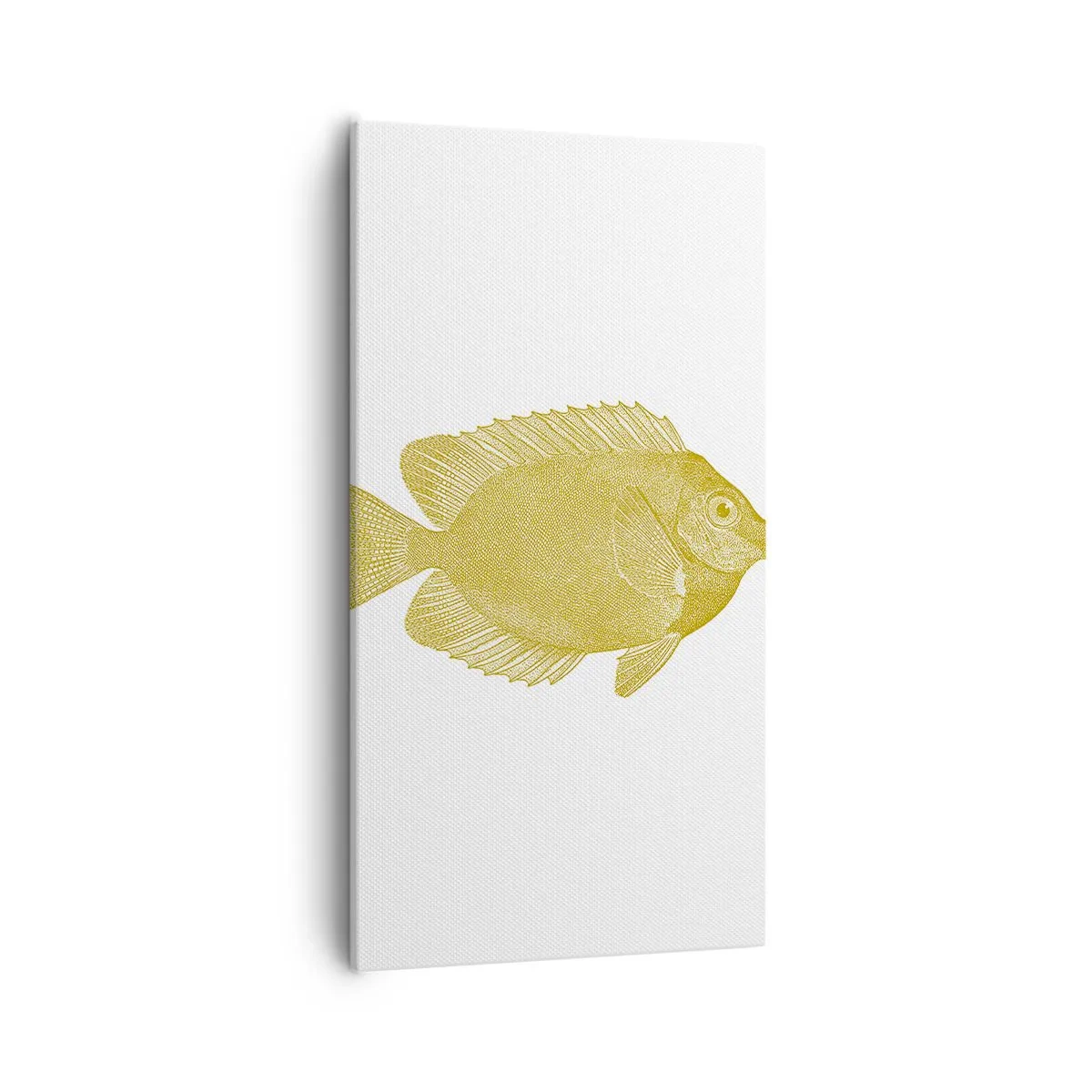 Canvastavla - Bild på duk - Fisk och det är allt - 55x100 cm