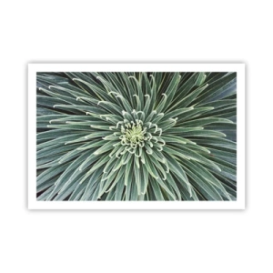 Affisch - Stjärna föds - 91x61 cm