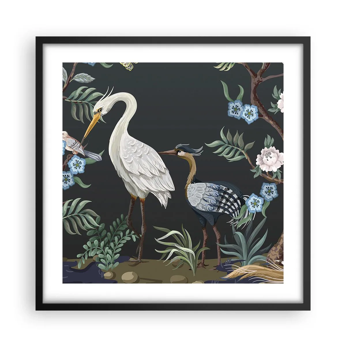 Affisch i svart ram - Fågelparad - 50x50 cm