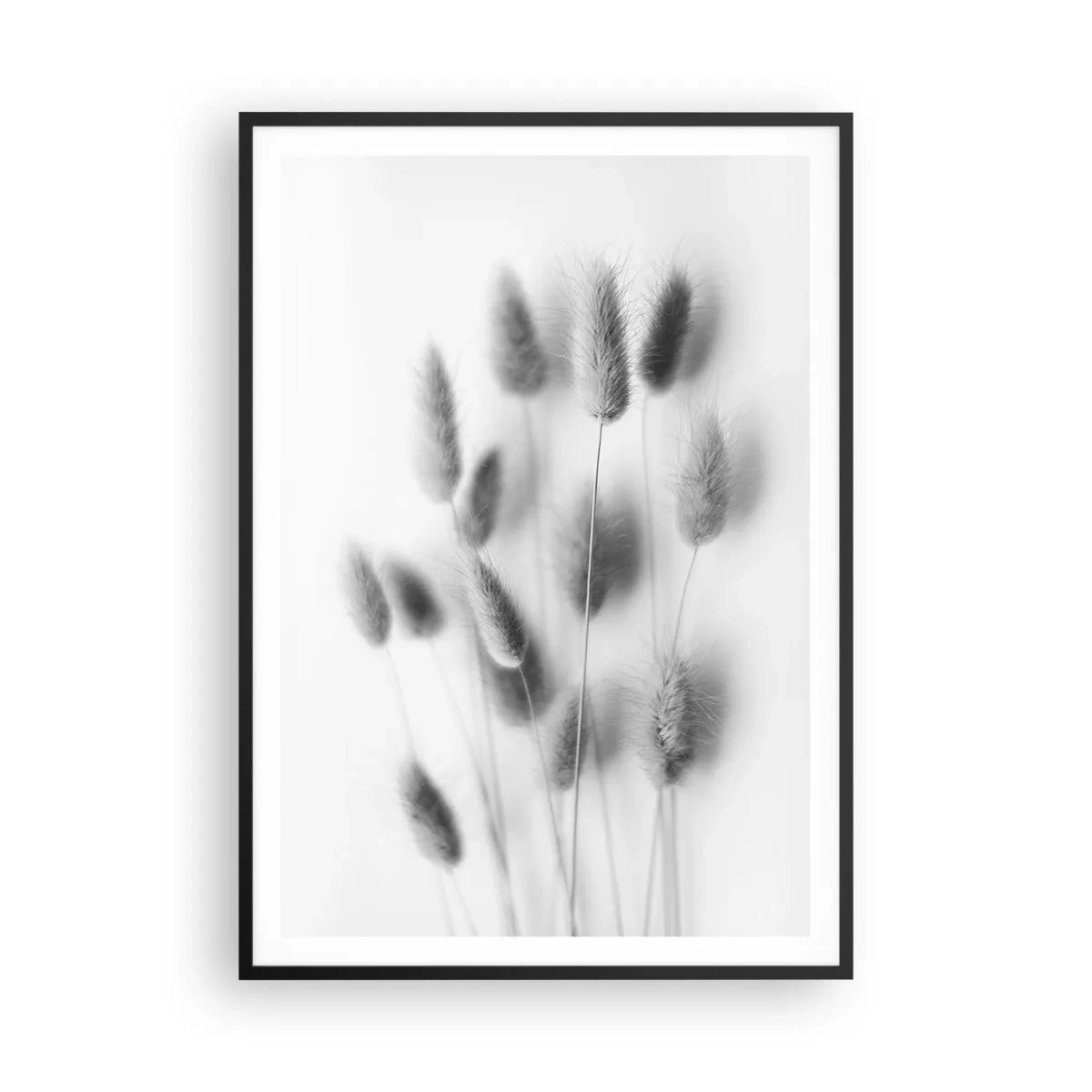 Affisch i svart ram - Fluffigt gräs - 70x100 cm