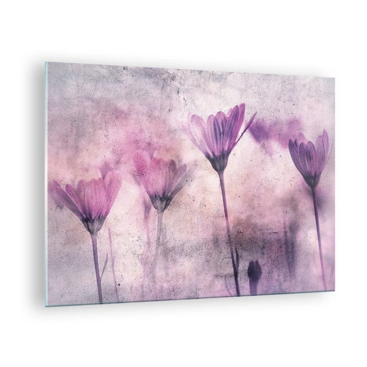 Glastavla - Bild på glas - Fina blommor i pastellfärgade lila nyanser - 70x50cm - Blommornas sömn - Modern väggdekoration för vardagsrum och sovrum ARTTOR