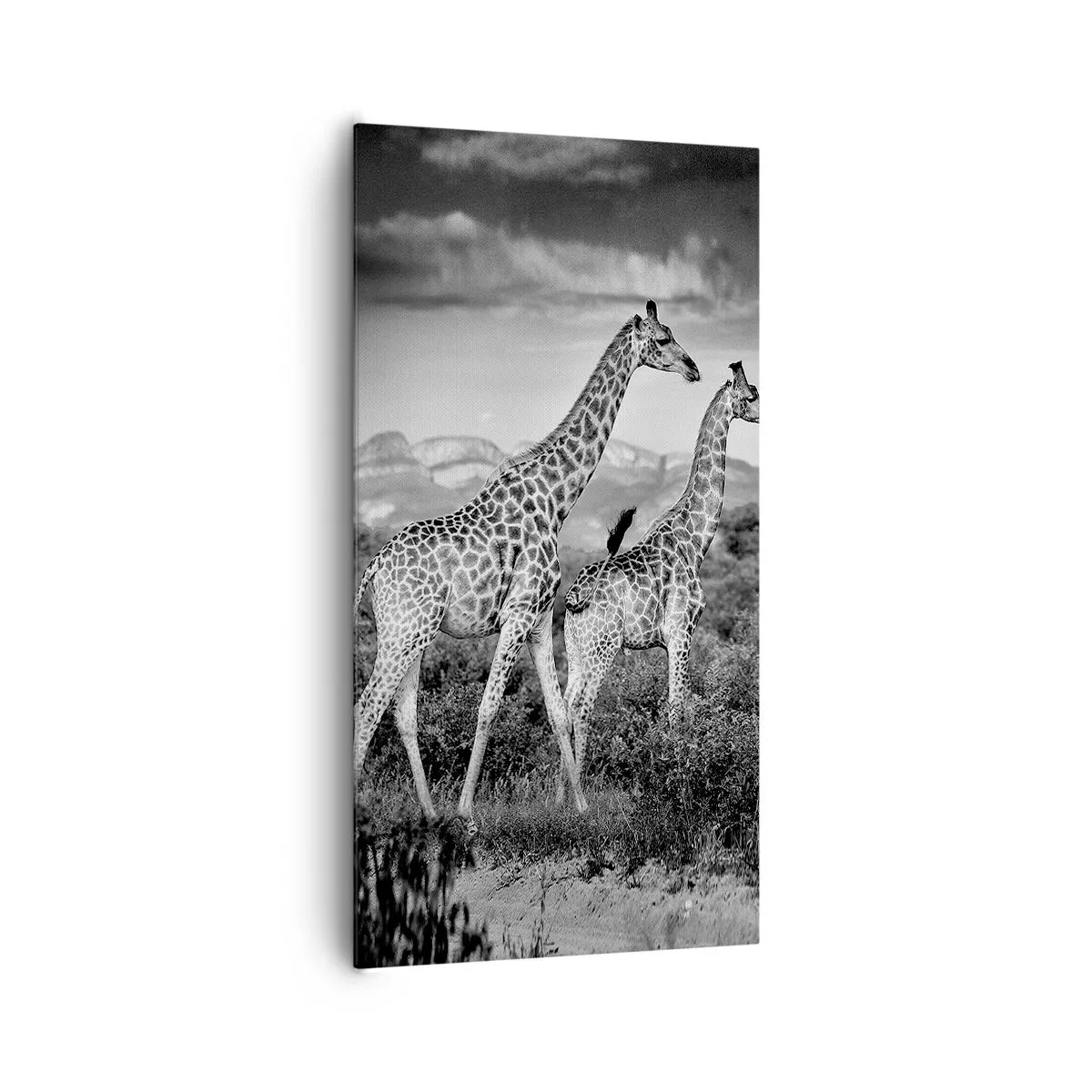 Canvastavla - Bild på duk - Högre klasser i Afrika - 65x120 cm