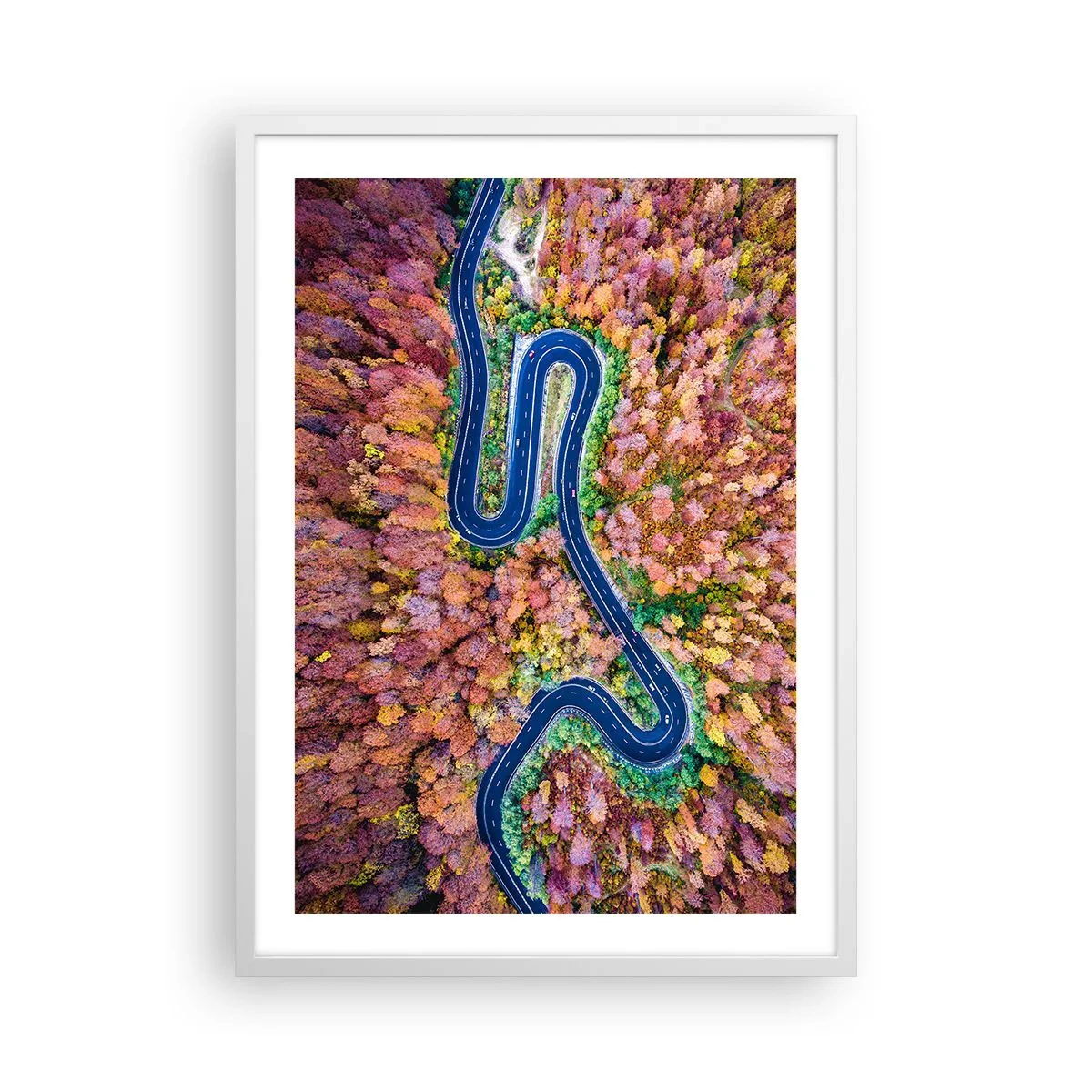 Affisch i vit ram - Slingrande väg genom skogen - 50x70 cm