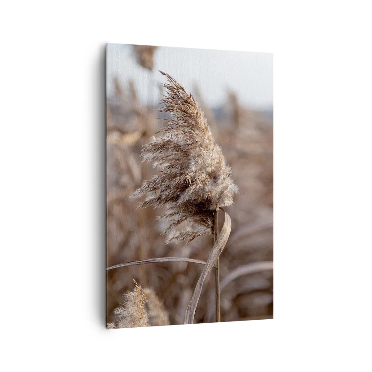 Canvastavla - Bild på duk - Dags att flyga bort med vinden - 80x120 cm