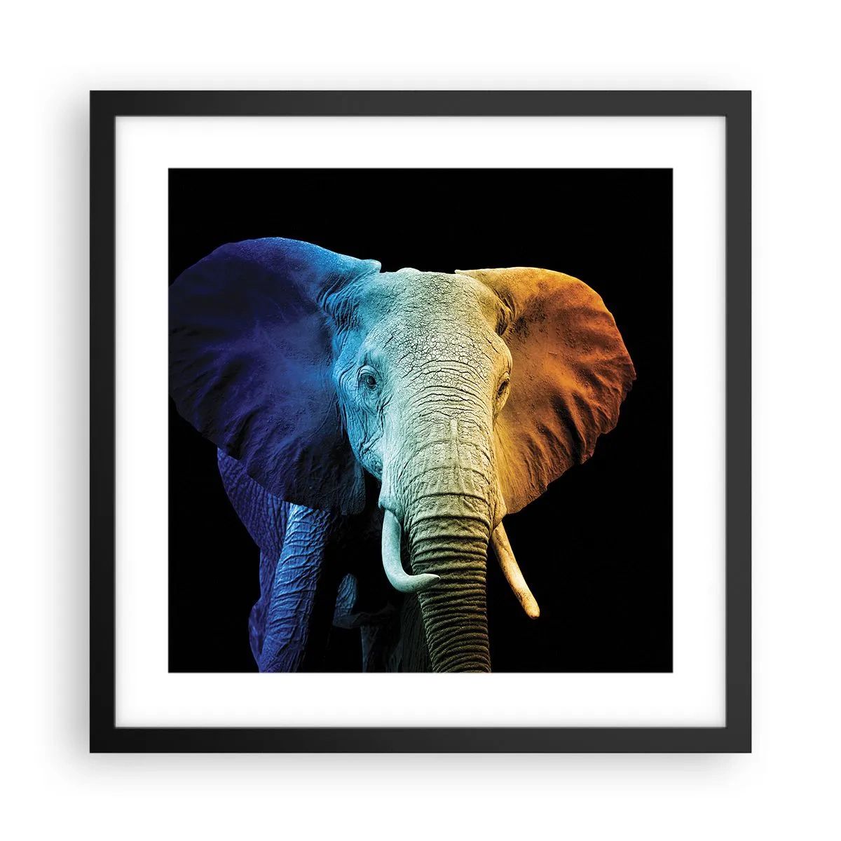 Affisch i svart ram - Excentriker, ej kuf - 40x40 cm