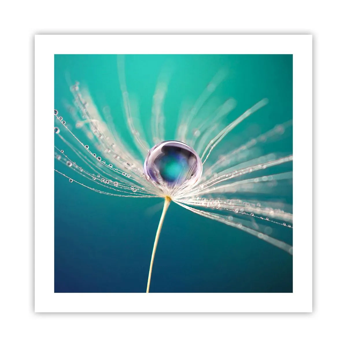 Affisch - Mystisk stund - 50x50 cm