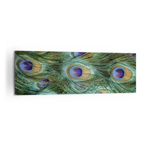 Canvastavla - Bild på duk - Påfågels blick - 160x50 cm