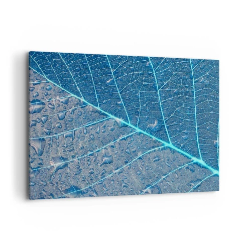 Canvastavla - Bild på duk - Livet i det blåa - 100x70 cm