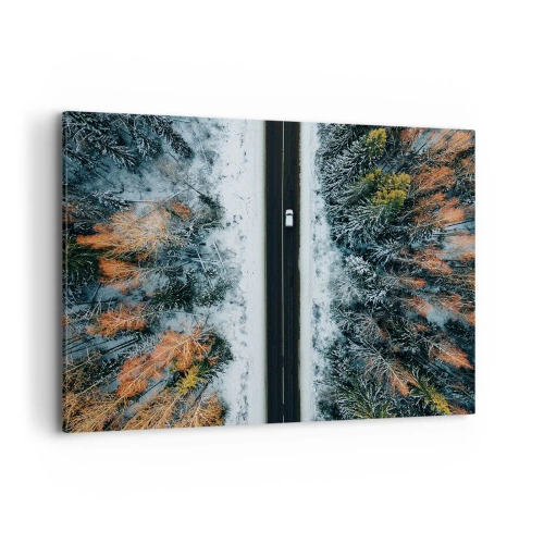 Canvastavla - Bild på duk - Genom vinterskogen - 100x70 cm