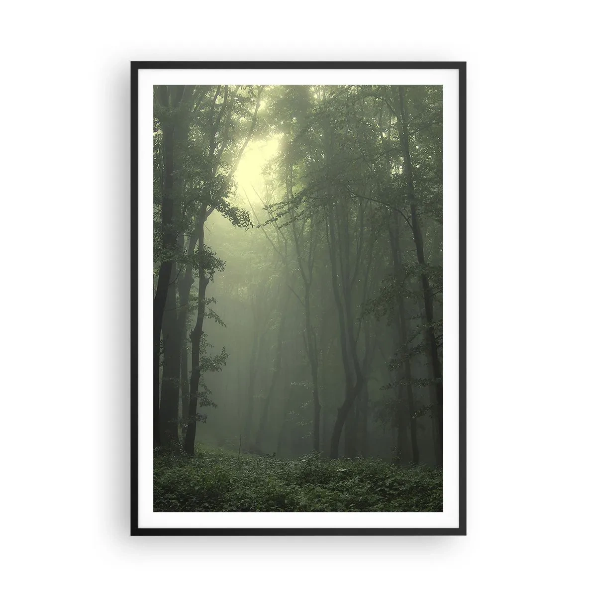 Affisch i svart ram - Innan skogen vaknar - 70x100 cm