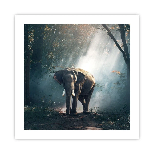 Affisch - Lugn promenad - 50x50 cm