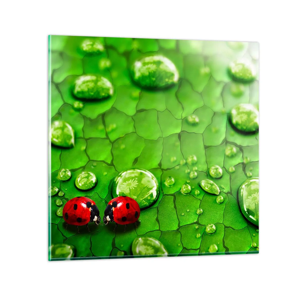 Glastavla - Bild på glas - Ett möte i det gröna - 30x30 cm