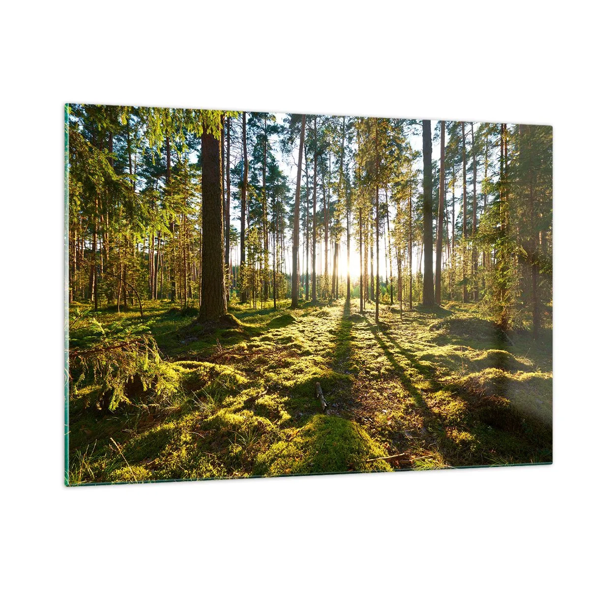 Glastavla - Bild på glas - ...Bortom sjunde skogen - 120x80 cm