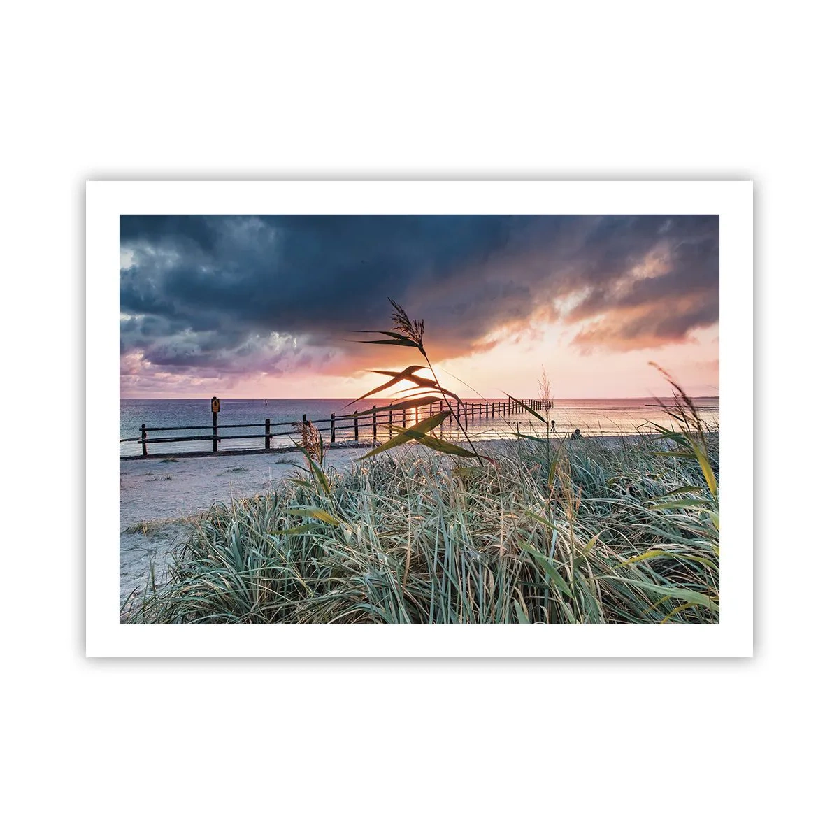 Affisch - Försvinner inte med vinden - 70x50 cm