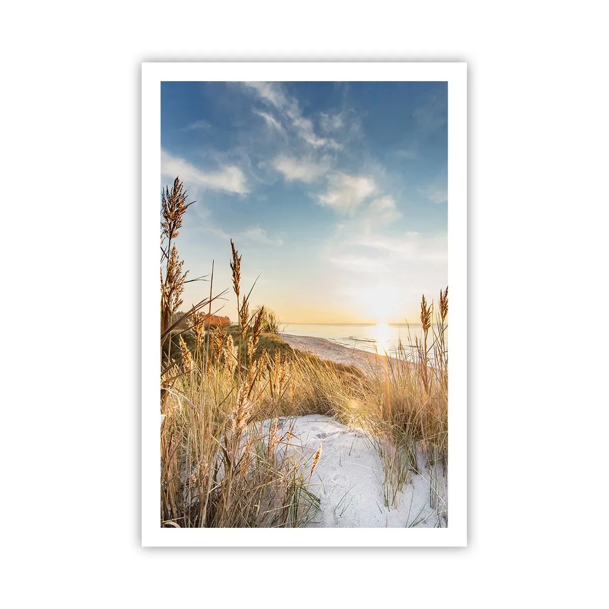 Affisch - Nordlig strand - 61x91 cm